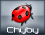 Chyby